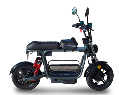 E-Bike TORK 1000W